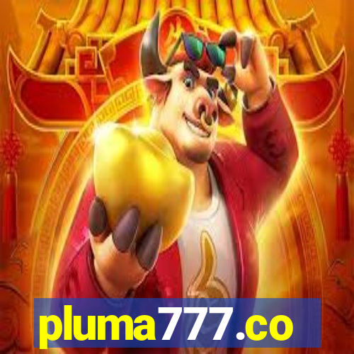 pluma777.co