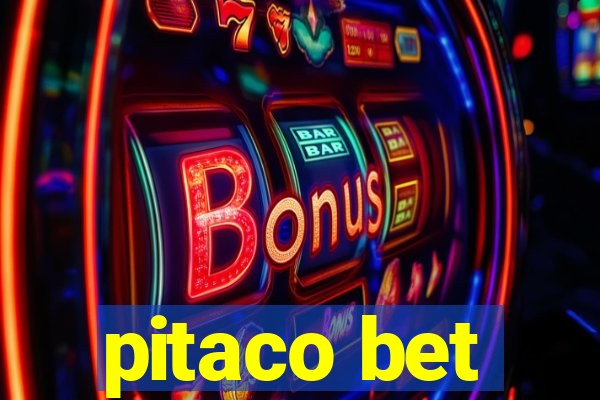 pitaco bet